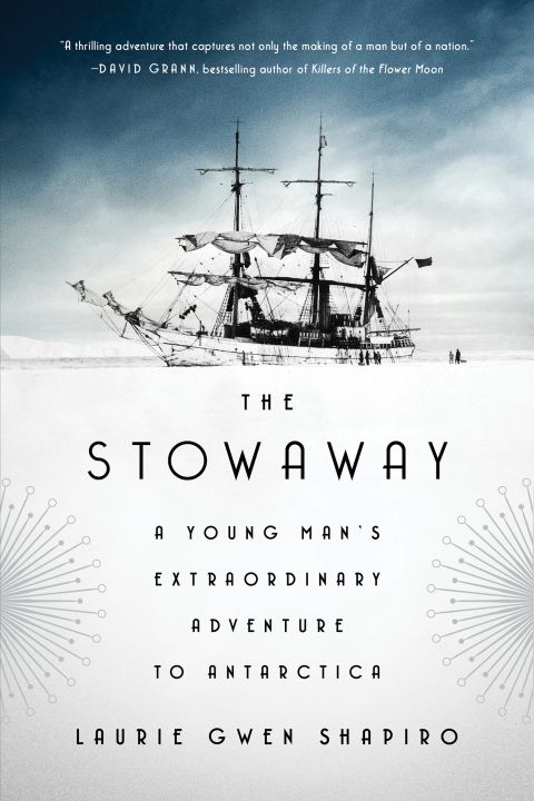 Cover image for book The Stowaway