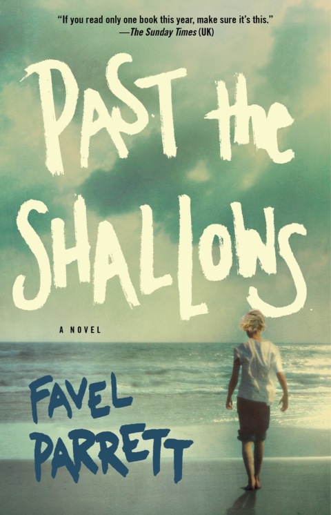 Cover image for book Past the Shallows