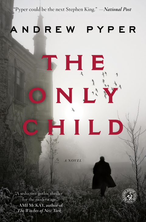 Cover image for book The Only Child