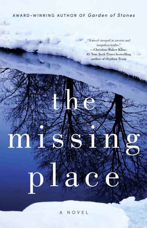 Cover image for book The Missing Place