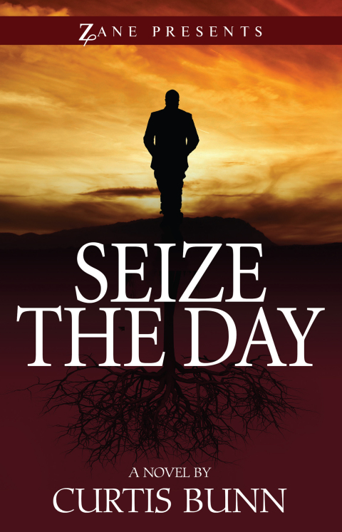 Cover image for book Seize the Day