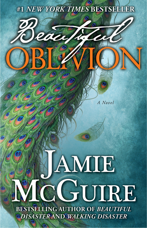 Cover image for book Beautiful Oblivion