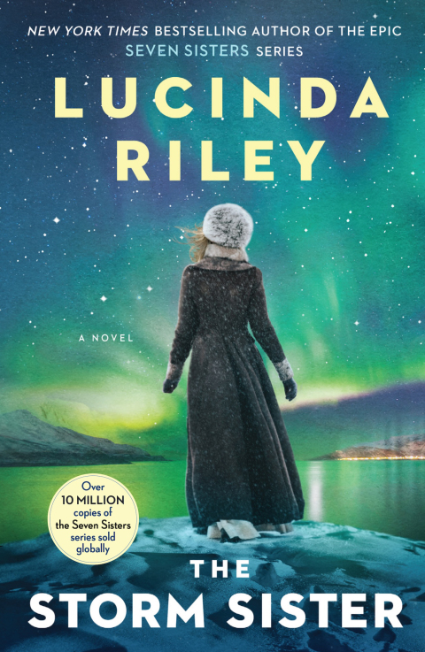 Cover image for book The Storm Sister