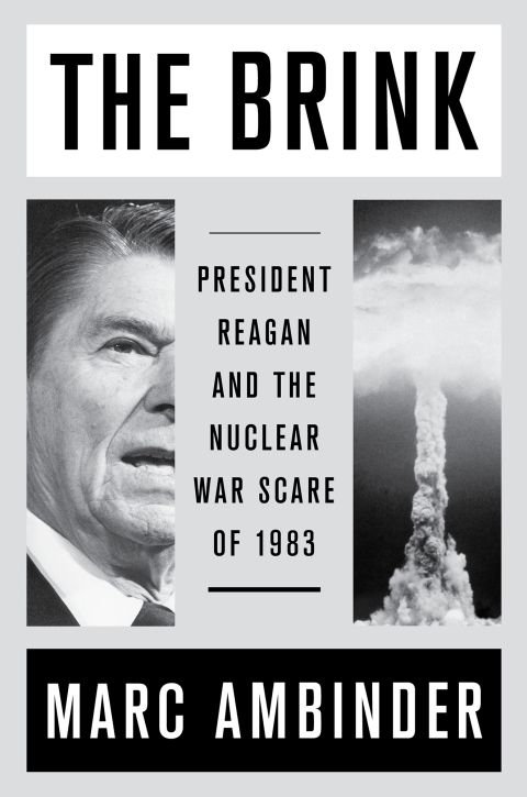 Cover image for book The Brink