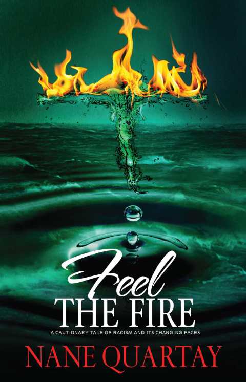 Cover image for book Feel the Fire