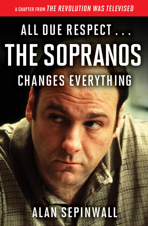 Cover image for book All Due Respect . . . The Sopranos Changes Everything