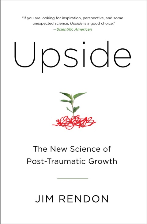 Cover image for book Upside