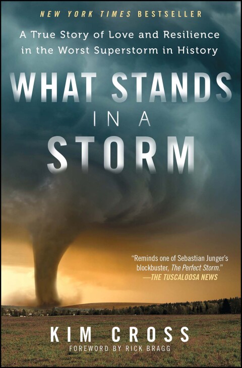Cover image for book What Stands in a Storm