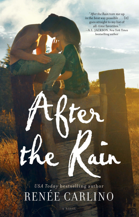 Cover image for book After the Rain