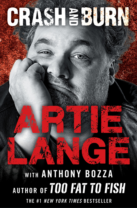 Cover image for book Crash and Burn