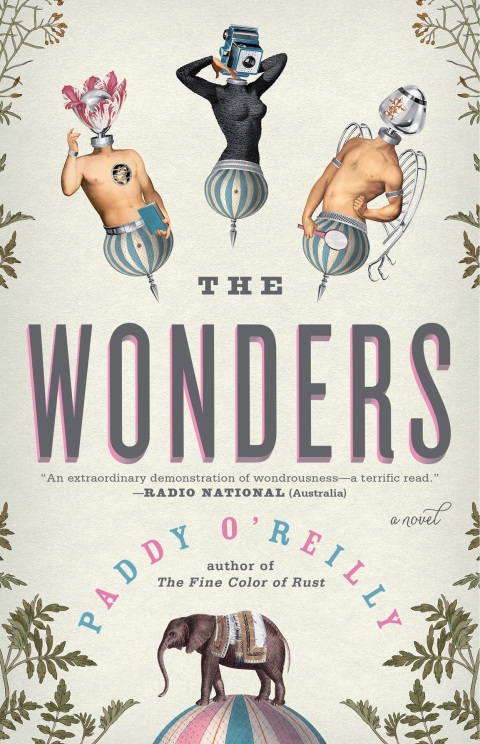 Cover image for book The Wonders