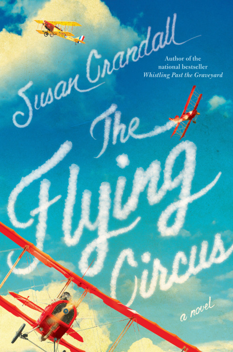 Cover image for book The Flying Circus