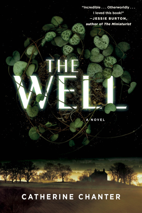 Cover image for book The Well