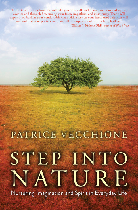 Cover image for book Step into Nature