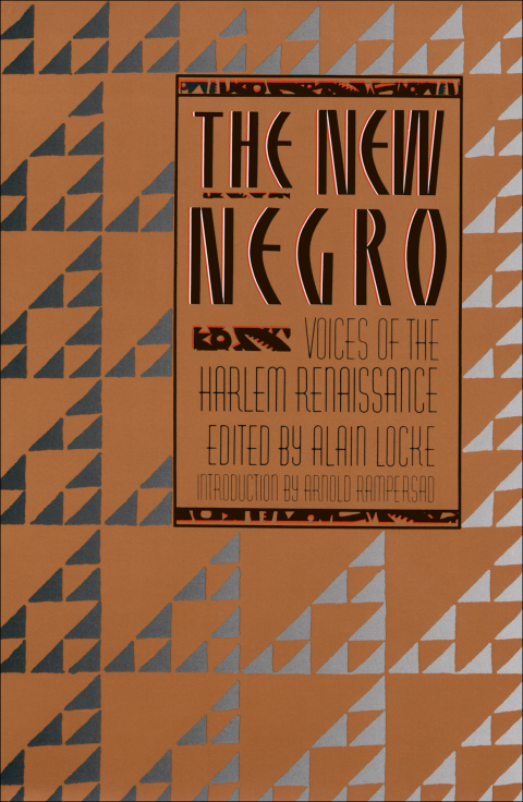 Cover image for book The New Negro