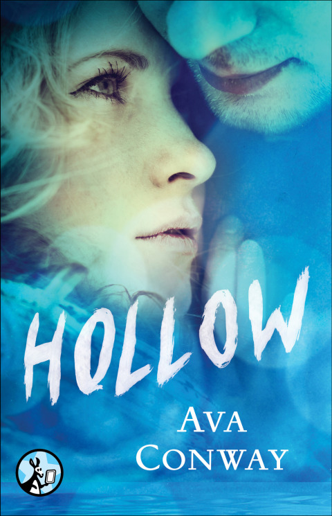 Cover image for book Hollow