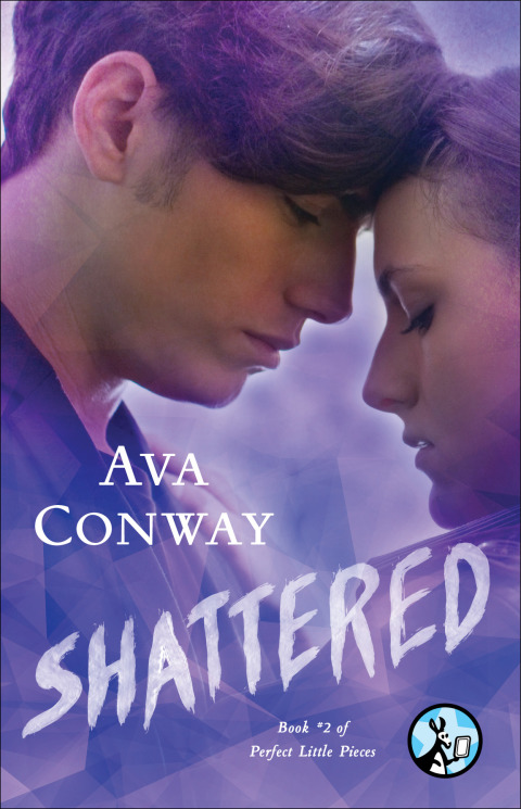 Cover image for book Shattered