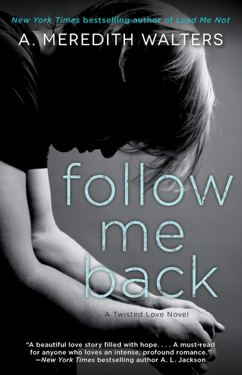 Cover image for book Follow Me Back