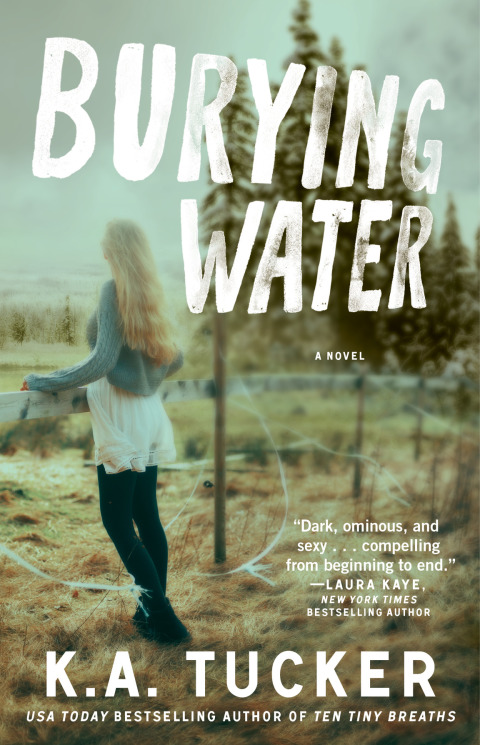 Cover image for book Burying Water