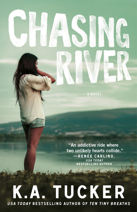 Cover image for book Chasing River