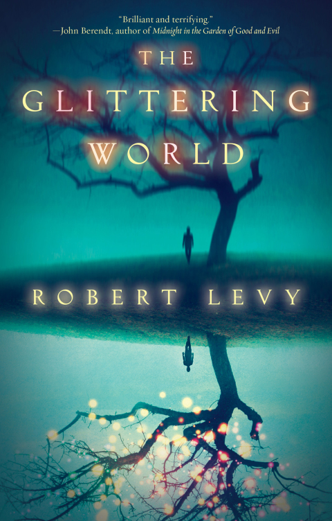 Cover image for book The Glittering World
