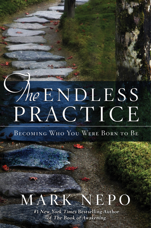 Cover image for book The Endless Practice