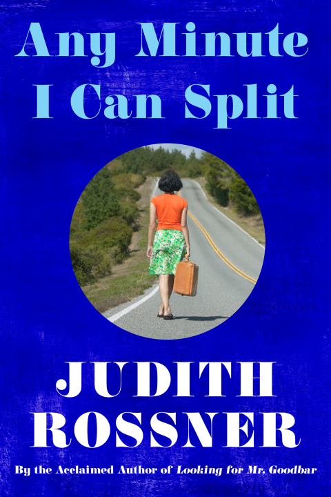 Cover image for book Any Minute I Can Split
