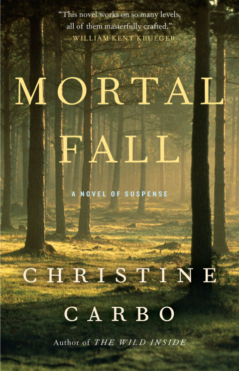 Cover image for book Mortal Fall