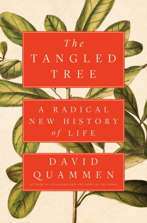 Cover image for book The Tangled Tree