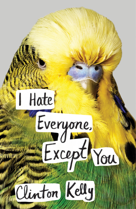 Cover image for book I Hate Everyone, Except You
