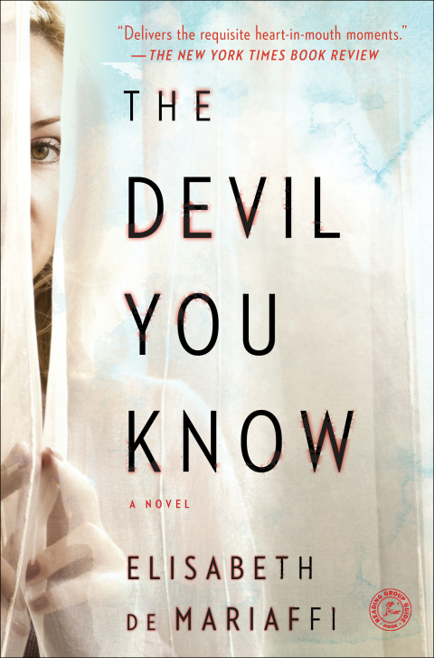 Cover image for book The Devil You Know