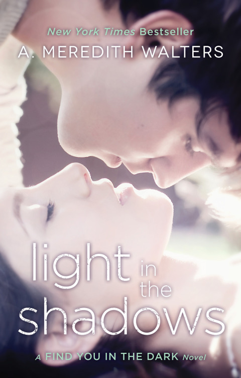 Cover image for book Light in the Shadows