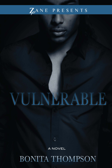 Cover image for book Vulnerable