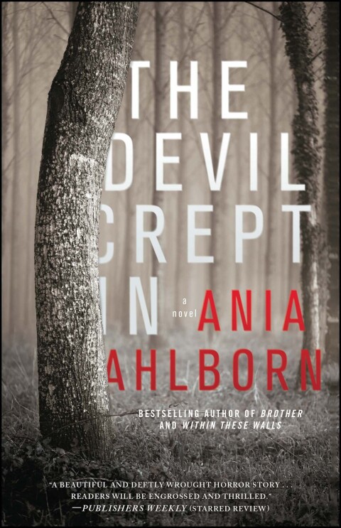 Cover image for book The Devil Crept In