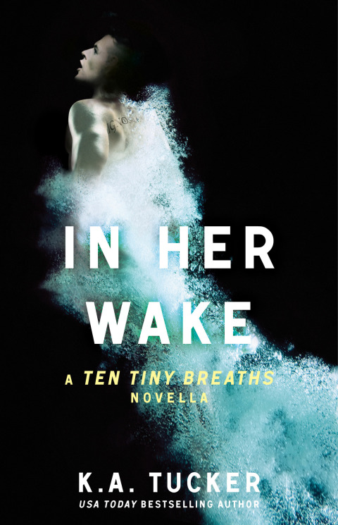 Cover image for book In Her Wake