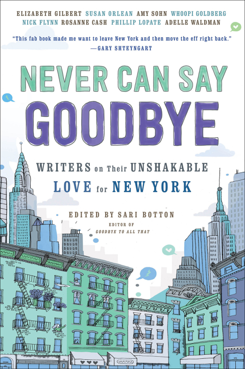 Cover image for book Never Can Say Goodbye