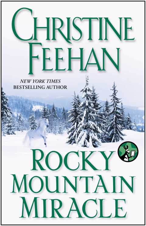 Cover image for book Rocky Mountain Miracle