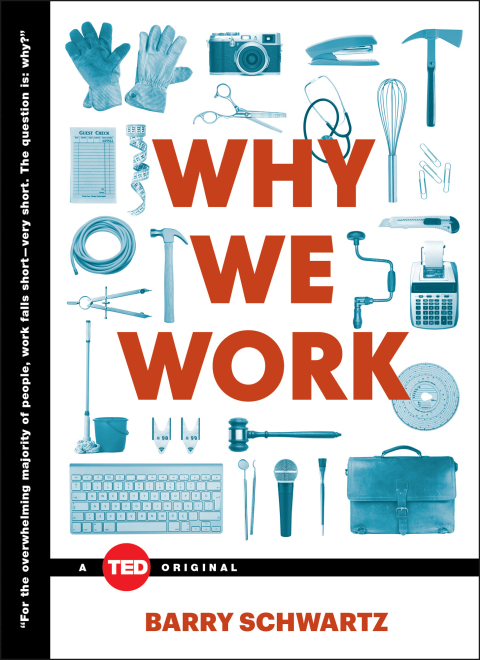 Cover image for book Why We Work