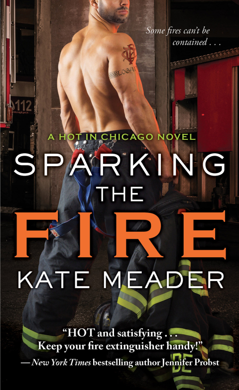 Cover image for book Sparking the Fire