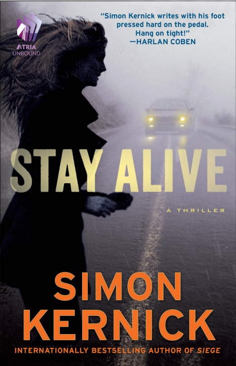 Cover image for book Stay Alive