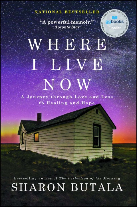 Cover image for book Where I Live Now