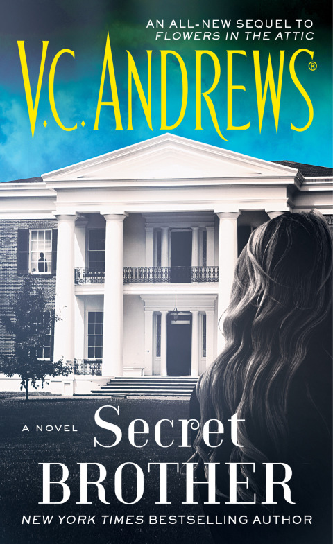 Cover image for book Secret Brother