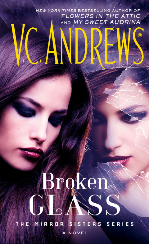 Cover image for book Broken Glass