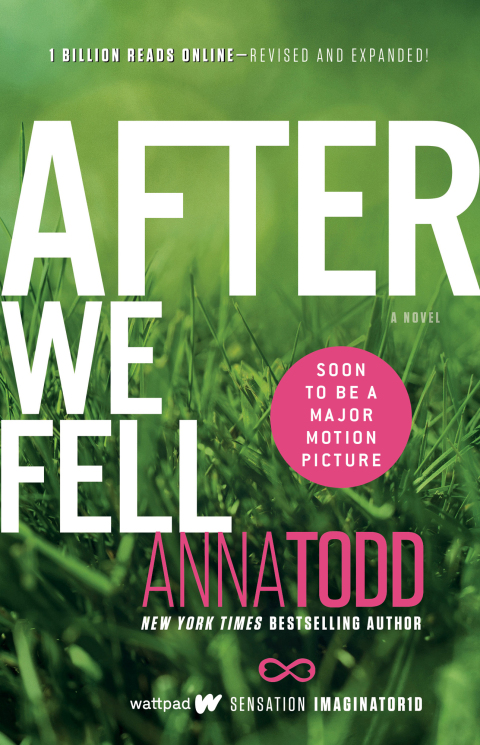 Cover image for book After We Fell