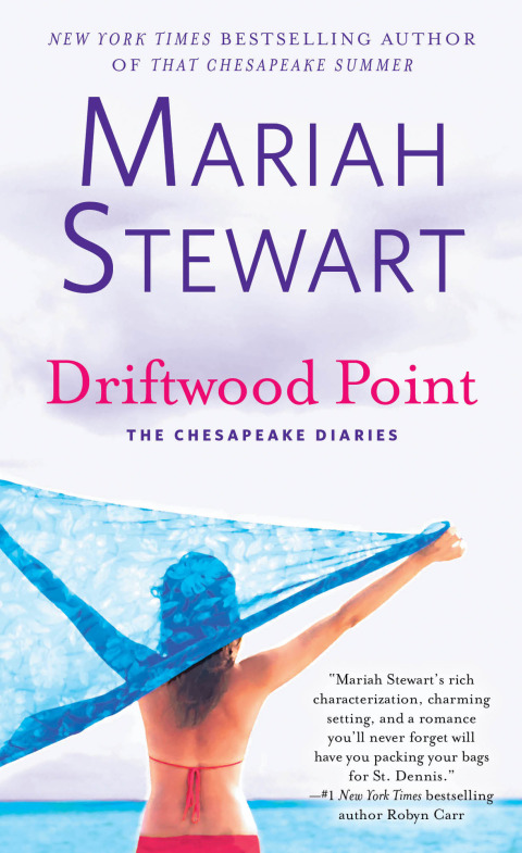 Cover image for book Driftwood Point
