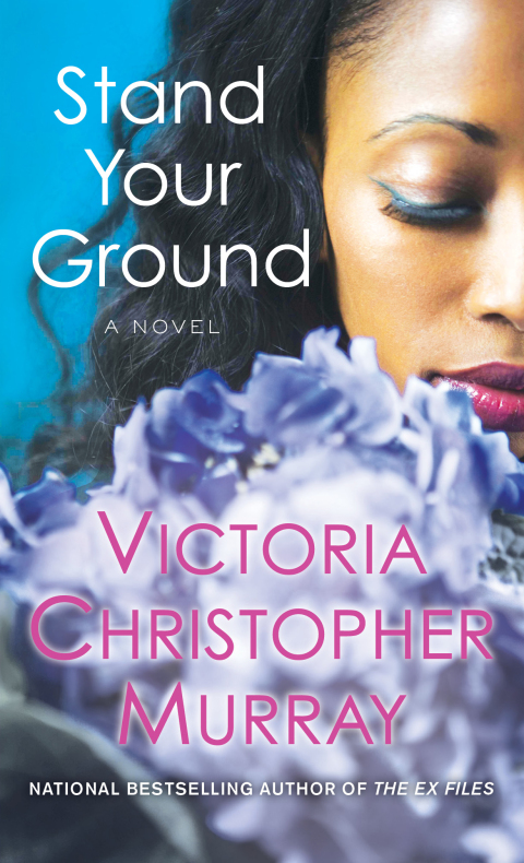 Cover image for book Stand Your Ground