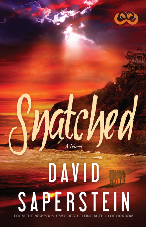 Cover image for book Snatched