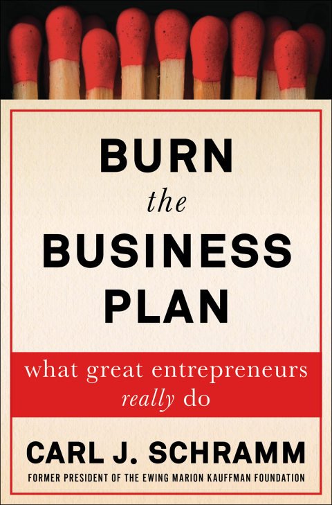Cover image for book Burn the Business Plan
