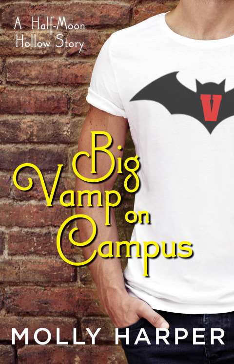 Cover image for book Big Vamp on Campus
