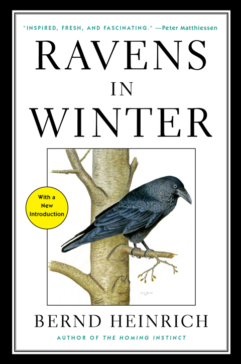 Cover image for book Ravens in Winter